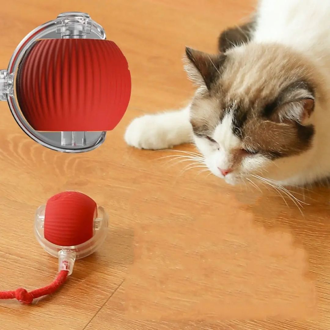 Smart Interactive Cat Toy Ball Quiet Silicone Rolling Ball for Indoor Cats